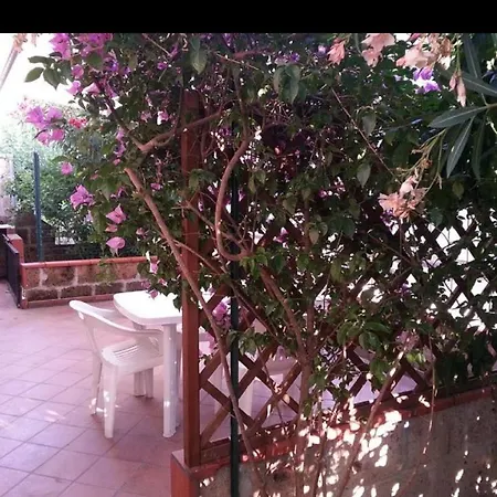 Grazioso Con Giardino Sul Lungomare *
